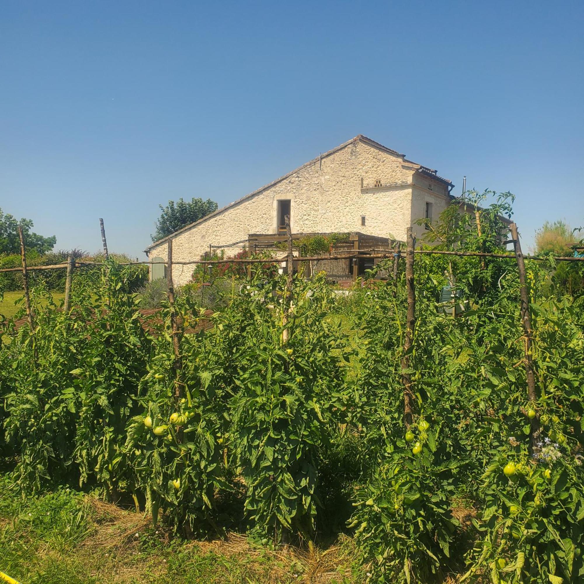 Отель Au Mas De Janita Cahuzac-sur-Vere Экстерьер фото